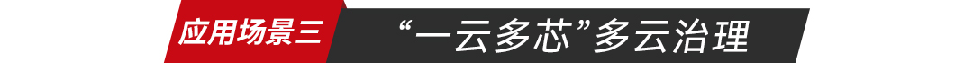 一云多芯多云治理-应用场景三_云宏虚拟化