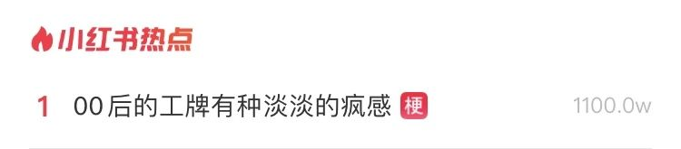 00后的工牌有种淡淡的疯感_云宏虚拟化