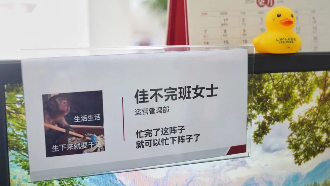 佳不完班女士（运营管理部）_云宏虚拟化