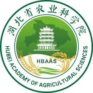 湖北省农业科学院_云宏虚拟化