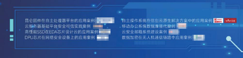  图源：《2024网信自主创新调研报告》案例图谱_云宏虚拟化