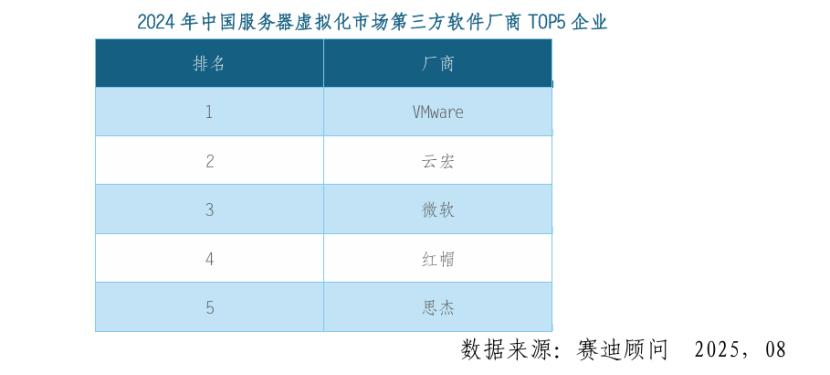 2024年中国服务器虚拟化市场第三方软件厂商TOP5企业_云宏虚拟化